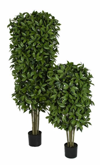 Two artificial bay laurel topiary trees of different heights in black pots, dense green foliage.