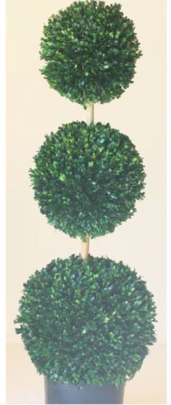 Three graduated preserved boxwood balls stacked on a bare stem in a dark tapered pot