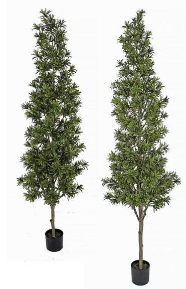 Two artificial podocarpus trees with narrow dark green leaves, standing side by side in black nursery pots.
