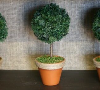Mantle Top Set Medium in Boxwood Foliage | TOPIARYTREE.NET