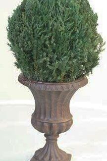 Globe in Juniper Foliage | TOPIARYTREE.NET