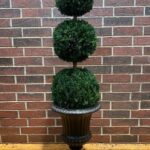 Preserved triple ball topiary in a black urn planter against a brick wall
