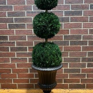 72-inch-triple-ball preserved topiary