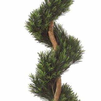6 foot Polyblend Podocarpus Spiral Topiary | TOPIARYTREE.NET
