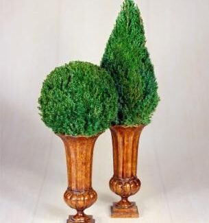 Mantle Top Cone Topiary in Juniper | TOPIARYTREE.NET