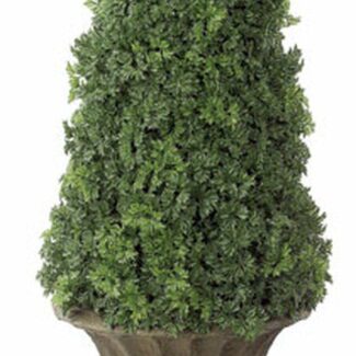 53 inch Polyblend Ming Aralia Cone Topiary | TOPIARYTREE.NET