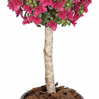 3 and half Foot Polyblend Azalea Ball Topiary | TOPIARYTREE.NET