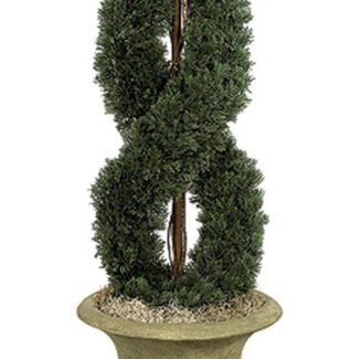 3 - 4 Foot Double Spiral Cypress Topiary | TOPIARYTREE.NET