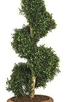 Artificial Topiary Trees, Spiral Topiary, 4 feet Polycaise Spiral Topiary | TOPIARYTREE.NET
