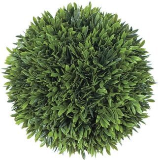 8 Inch Podocarpus Ball | TOPIARYTREE.NET