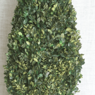 30 inch   Boxwood Cone Topiary