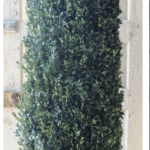 Tall cone-shaped preserved boxwood topiary in a dark metal urn, against a rustic white door