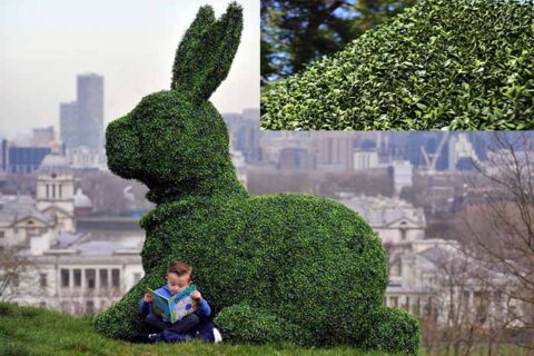 Custom Made Topiary