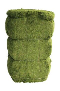 Sphagnum Moss Bale for Topiary, 46 Pounds