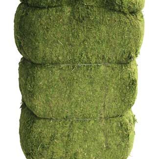 Evergreen Moss Green Bale, 46 Pounds | TOPIARYTREE.NET