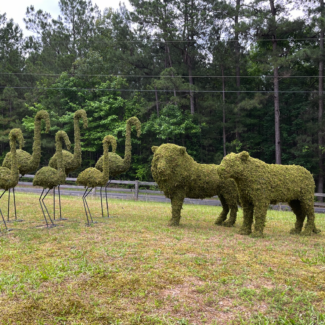 The family of Flamingo with Moss Foliage | TOPIARYTREE.NET