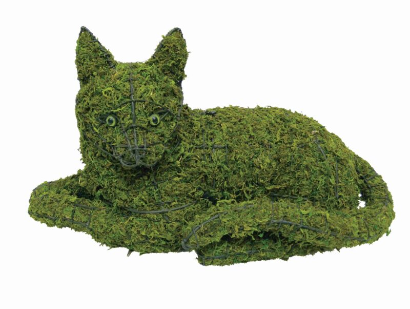 Lying Cat Moss Topiary