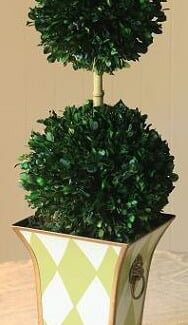 Double Ball in Boxwood Topiary Foliage | TOPIARYTREE.NET