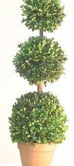 Triple Ball Boxwood Topiary 40” Topiary | TOPIARYTREE.NET