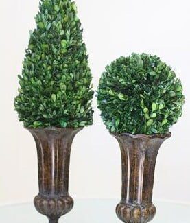 Mantle Top Topiaries | TOPIARYTREE.NET