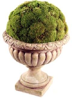 Decorative Moss Display | TOPIARYTREE.NET