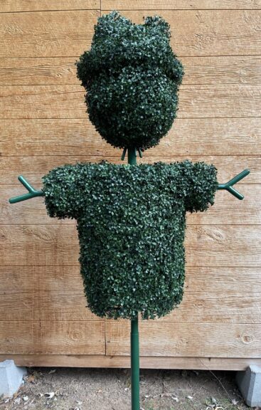 A boxwood scarecrow topiary on a pole stand against a wood-plank wall, showing the head, torso, and branch arms in detail.