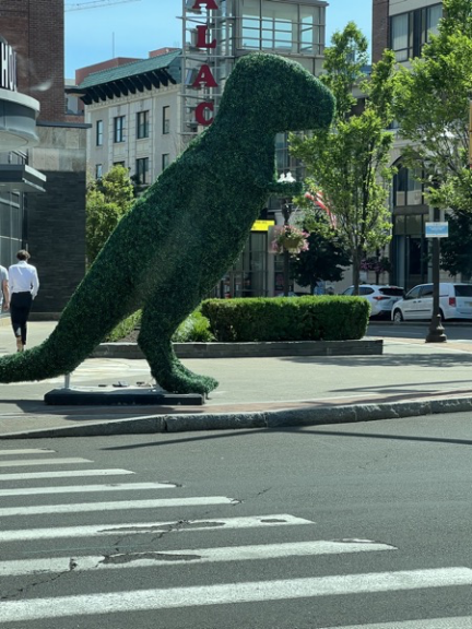 Street-level view of the T-Rex topiary beside a crosswalk as a person walks past