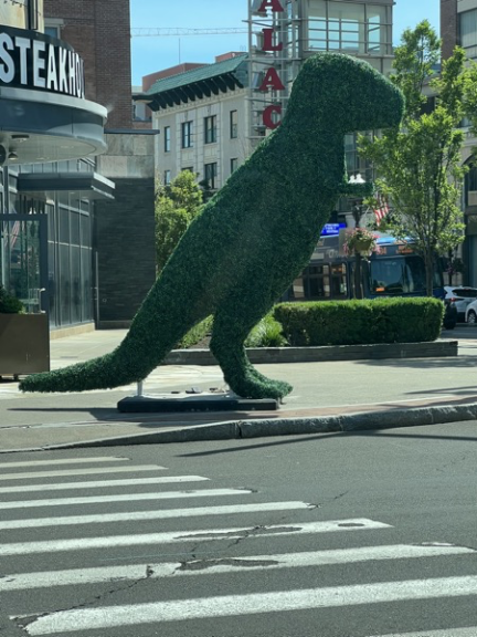 T-Rex topiary seen from across the road, mounted on a low black base on the sidewalk