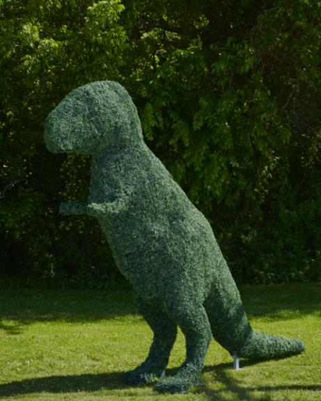 T-Rex topiary standing on mown lawn in front of dark trees, its clipped surface catching the light