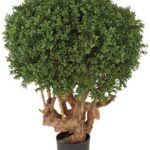 Round artificial boxwood ball on a gnarled wood-look trunk, in a small black pot.