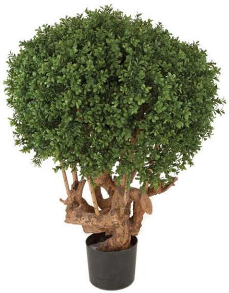 Round artificial boxwood ball on a gnarled wood-look trunk, in a small black pot.