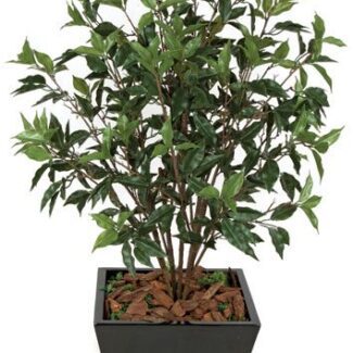48 Inch Ficus Bush Green | TOPIARYTREE.NET