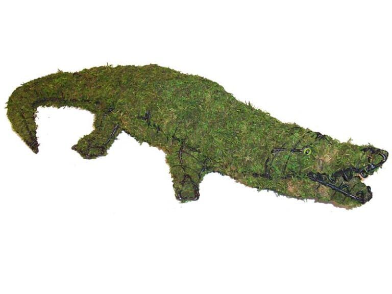✨ Bring Your Outdoor Topiary Back (Swan Example) to Life with Professional Refurbishing Restoration