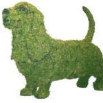 A moss-covered wire-frame topiary shaped like a basset hound, with long ears and a raised tail, on a white background.