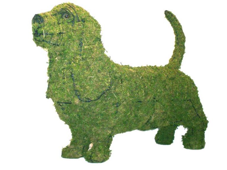 A moss-covered wire-frame topiary shaped like a basset hound, with long ears and a raised tail, on a white background.