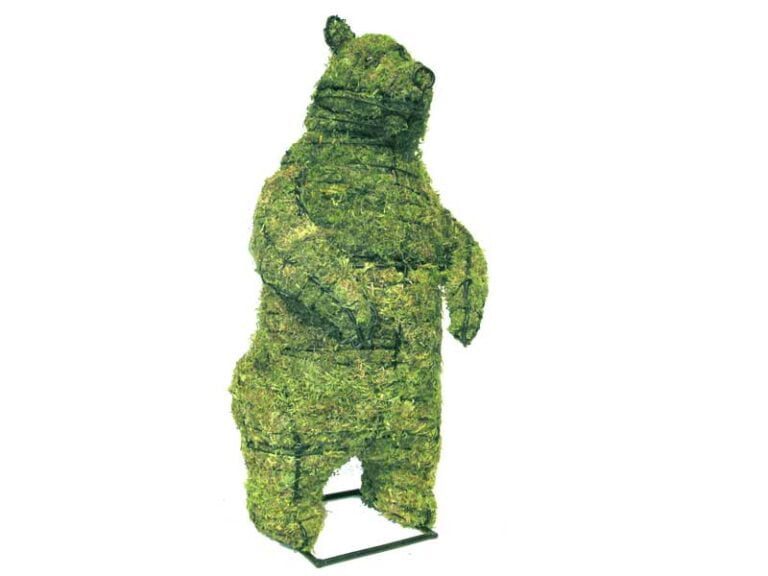 Buxus Sempervirens ‘Rotundifolia – Poodle Topiary – Learn More