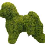 Moss-covered Bichon Frise topiary with a round fluffy build and curled tail