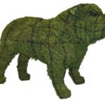 Moss-covered bulldog topiary with a wrinkled face and glass eyes, shown side-on