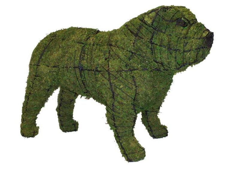 BACHO Topiary – About & FAQs