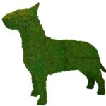 Bull terrier topiary covered in green moss, standing in profile with pointed ears
