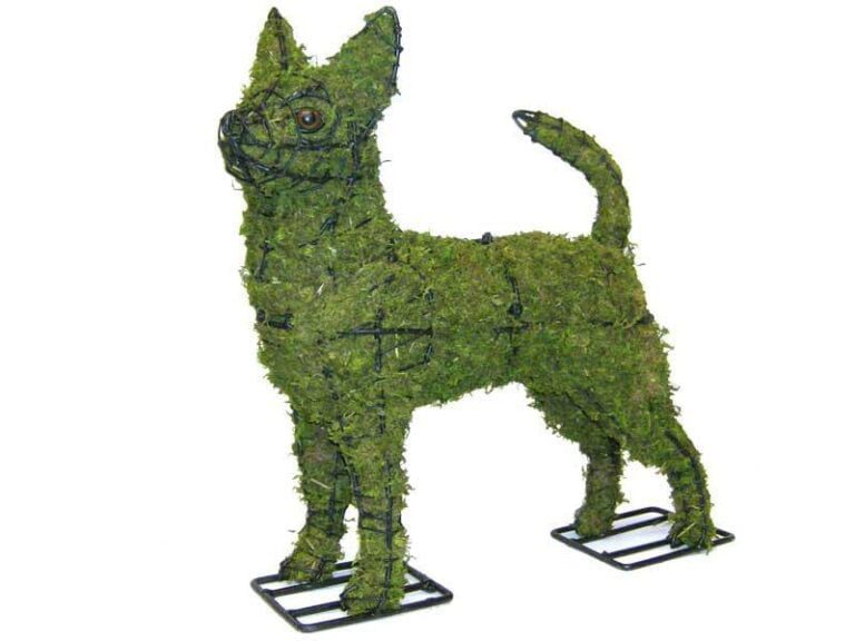 What Type of Foliages Should be Used for Topiaries