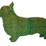Mossed corgi topiary in profile, sphagnum packed into a dark wire frame, upright ears and short legs