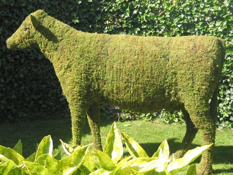 How To Add Live Foliage to a Topiary Frame