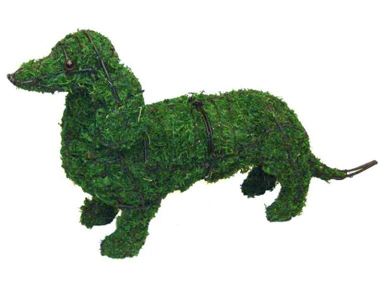 The Preservation Process: How Natural Boxwood is Transformed into Long-Lasting Topiary Balls