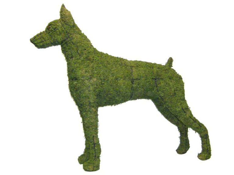 How We Cover Topiaries in Boxwood Foliage