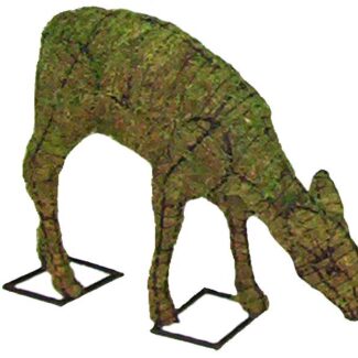 Doe, 15 inch (Mossed) 15 inch x 20 inch x 6 inch