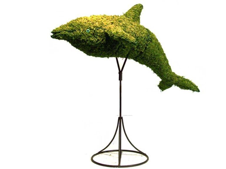 BACHO Topiary – About & FAQs
