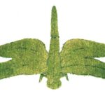 Moss-covered dragonfly topiary viewed from above, wings and tail in sphagnum moss