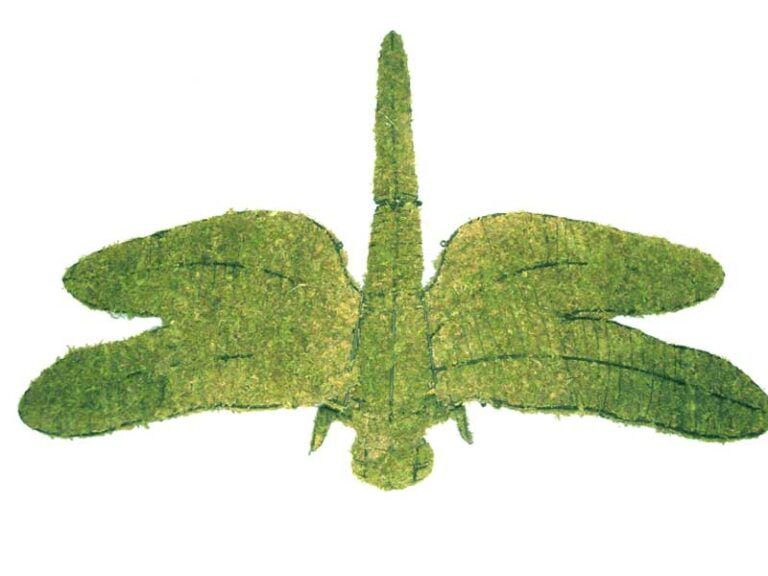 BACHO Topiary – About & FAQs