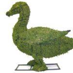 Mossed duck topiary on a black wire frame with a flat base and a yellow eye, on white